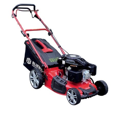 Lawn mower BLUE BIRD TAURUSL51T engine Loncin 196cc cutting width 51cm bag65L | Newgardenstore.eu