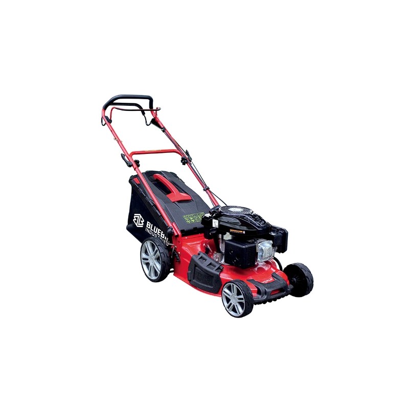 Lawn mower BLUE BIRD TAURUSL51TI engine Loncin 196cc cutting width 51cm