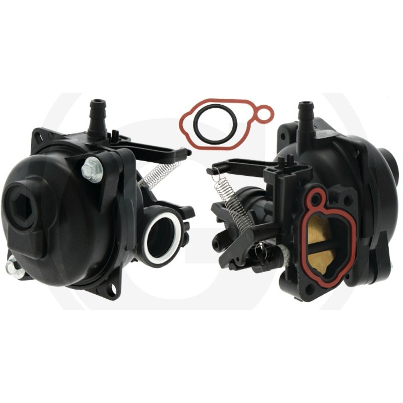 Carburador compatible con el motor BRIGGS & STRATTON modelo 09P702