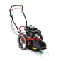 Desbrozadora de ruedas BLUE BIRD FLO6HO motor 166cc anchura de corte 60cm