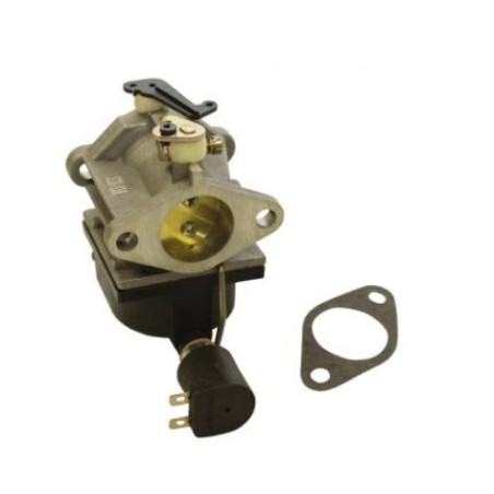 Carburador compatible con motor TECUMSEH serie OHV140, OHV155, OHV16, OHV17 | Newgardenstore.eu