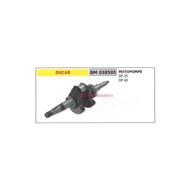 Crankshaft DUCAR engine motor pump DP 25 40 038595
