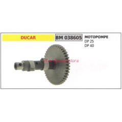 Crankshaft DUCAR motor pump DP 25 40 038605 | Newgardenstore.eu