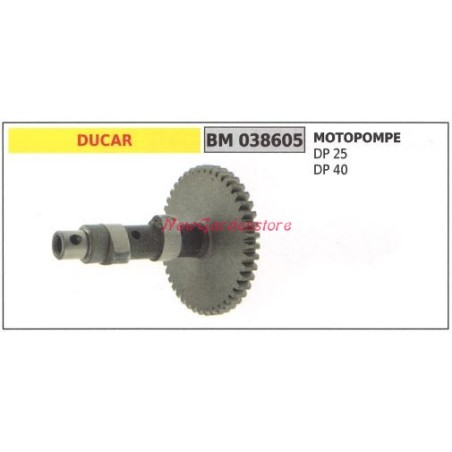 Crankshaft DUCAR motor pump DP 25 40 038605 | Newgardenstore.eu