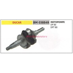 Crankshaft DUCAR motor pump DP 80 DPT 80 038849 | Newgardenstore.eu