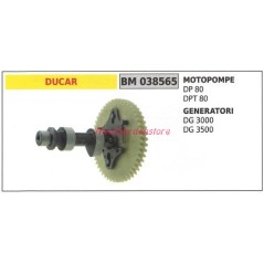Cigüeñal bomba motor DUCAR DP 80 DPT 80 generador DG 3000 3500 038565 | Newgardenstore.eu