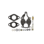 Carburettor overhaul kit WISCONSIN AELN L63 - AELND L63