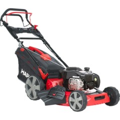 Cortadora de césped HARRY HR 5000 SBQ 140 cc corte 48 cm autopropulsado | Newgardenstore.eu