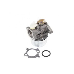 Carburateur compatible moteur BRIGGS&STRATTON 127700, 127800, 128700 | Newgardenstore.eu