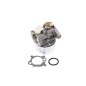 Carburateur compatible moteur BRIGGS&STRATTON 127700, 127800, 128700