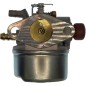 Vergaser für Motor TECUMSEH AG 0440199