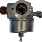 Carburateur compatible moteur TECUMSEH AG 0440200