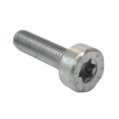 Tornillo de estrella IS-M5x20 cortasetos HLA135 ORIGINAL STIHL 90223711020 | Newgardenstore.eu