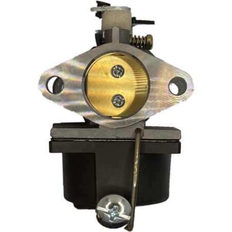 Vergaserkompatibler Motor TECUMSEH OHV 110 - 120 - 130 AG 0440017 | Newgardenstore.eu