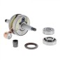 CIGÜEÑAL KIT 577767309 ORIGINAL HUSQVARNA