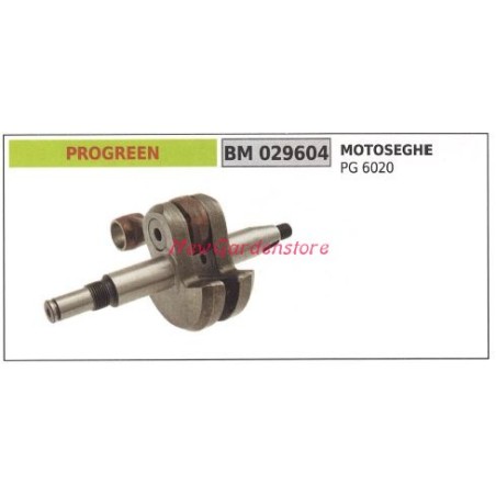 Kurbelwelle Motor PROGREEN Bürstenmäher PG 6020 029604 | Newgardenstore.eu