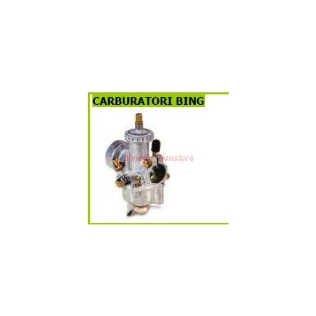 Carburateur pour tracteur à pied BING 1/19/118 1.19/A | Newgardenstore.eu