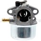 Carburador para motor compatible BRIGGS & STRATTON 120H00 120K00 - 799868