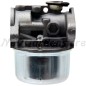 Carburador para motor compatible BRIGGS & STRATTON 120H00 120K00 - 799868