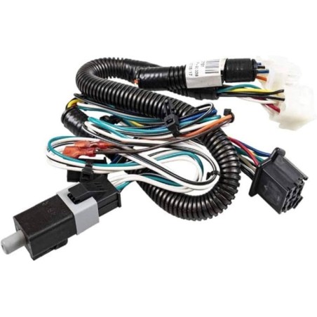 CONJUNTO CABLEADO 581023101 ORIGINAL HUSQVARNA | Newgardenstore.eu