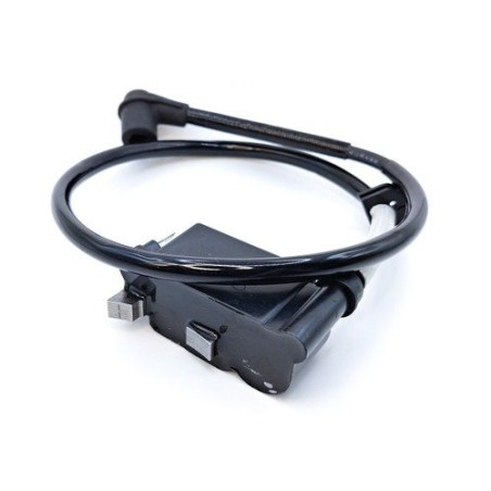 IGNITION MODULE 596813001 ORIGINAL HUSQVARNA | Newgardenstore.eu