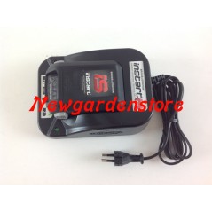 BRIGGS & STRATTON 675is 775is 875is instart battery and charger | Newgardenstore.eu