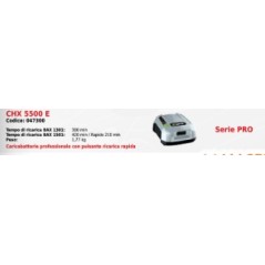 Caricabatteria professionale con pulsante di ricarica rapida EGO CHX5500 E | Newgardenstore.eu