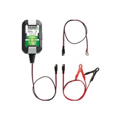 FULLOAD 1000 Chargeur 1A tracteur de pelouse tondeuse tondeuse tondeuse | Newgardenstore.eu