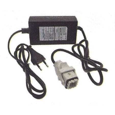 Chargeur de batterie MAORI pour TWIST STD - TWIST EVO - 015303 | Newgardenstore.eu