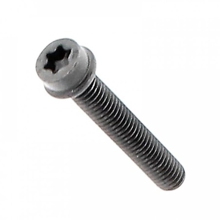 MUFFLER STUD M6X50 T27 525825104 ORIGINAL HUSQVARNA | Newgardenstore.eu