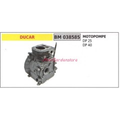 Crankshaft DUCAR engine motor pump DP 25 40 038585 | Newgardenstore.eu