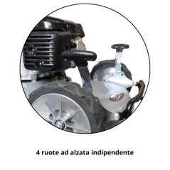 Rasaerba ACTIVE alluminio 6000BBC motore Honda GXV160 larghezza taglio 53cm cesto 65L | Newgardenstore.eu