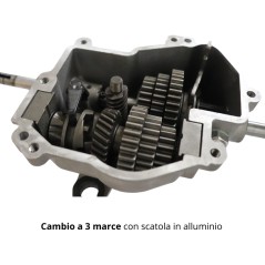 Rasaerba ACTIVE alluminio 6000BBC motore Honda GXV160 larghezza taglio 53cm cesto 65L | Newgardenstore.eu