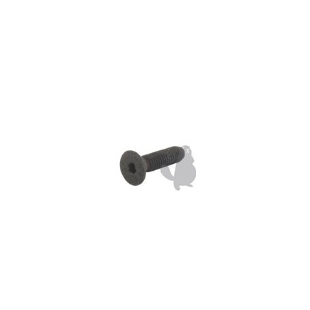 BOLT RIF 1602808 COMPATIBLE MALECIA | Newgardenstore.eu