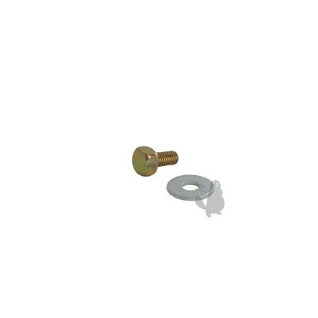 SCREW AND WASHER RIF 1602869 COMPATIBLE | Newgardenstore.eu