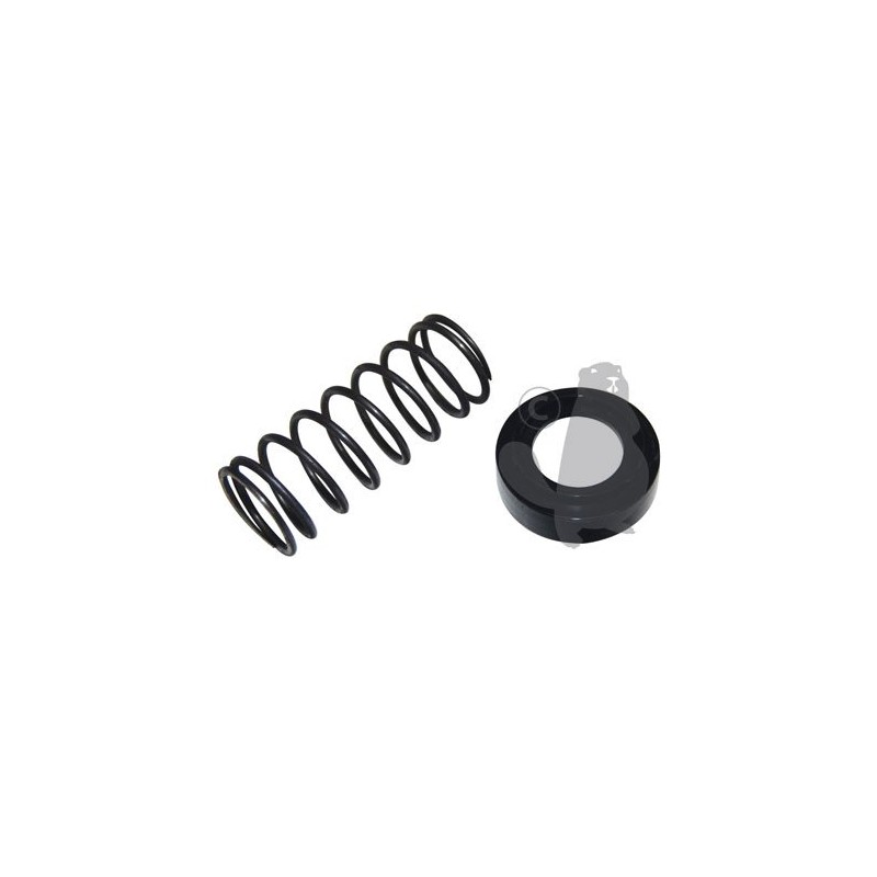 SET SPRING RING RIF 1608137 COMPATIBLE