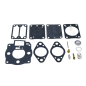 Kit revisión carburador BRIGGS & STRATTON 42 motor horizontal y vertical