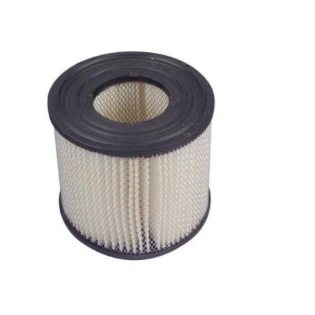 Cartucho filtro de aire 111 x 48 x 98 mm BRIGGS&STRATTON motor cortacésped | Newgardenstore.eu