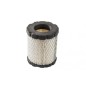 Air filter cartridge lawn mower engine compatible BRIGGS&STRATTON 798897