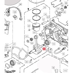 Arbre moteur ORIGINAL BLUEBIRD pour tronçonneuse CS 590 CS590-24