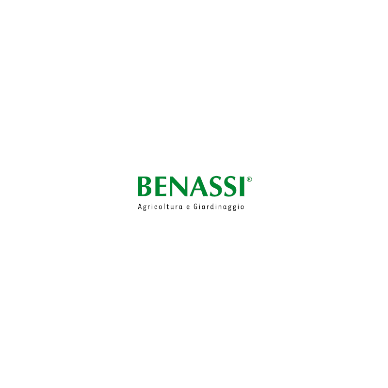 Paar Seitenräder für den Transport des Motorbaggers für BL 105 - 106 Benassi 97000411