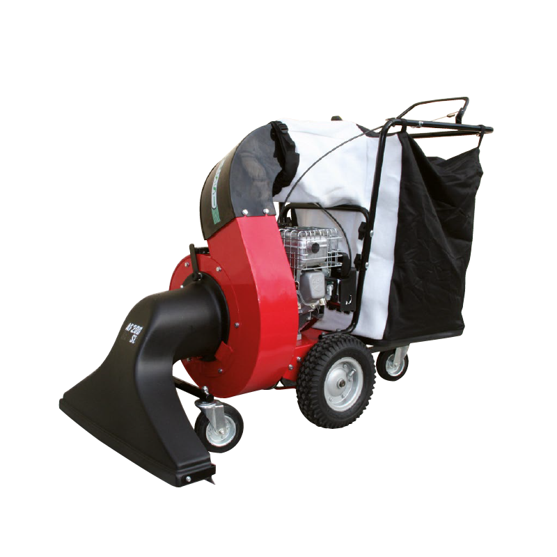 AF 200 SL Benassi Aspirateur à feuilles 4 temps Briggs&Stratton SÉRIE XR 6,5 kW 4,2 - 208 cc 8801702