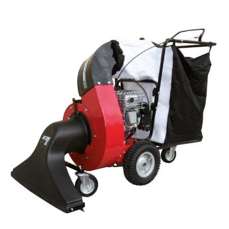 AF 200 SL Aspirafoglie Benassi 4 tempi Briggs&Stratton SERIE XR 6,5 kW 4,2 - 208 cc 8801702 | Newgardenstore.eu