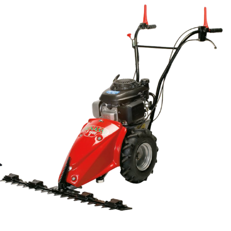 F 1900 B Benassi 4-stroke motor mower B&S SERIES 675 EXi OHV kW 2.9 - 163 cc with special “EASY” bar 82 cm 8481406 | Newgarde...