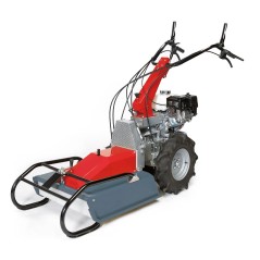 F 532* Benassi 4-stroke mower HONDA GX200 kW 4.1 - 196 cc 8716201 | Newgardenstore.eu