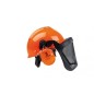 Forestry helmet G22D FPA certified ear protection plastic visor