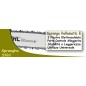 Spranga 0,325"-1,6 Rollomatic E 40cm ORIGINALE STIHL - 3005-000-4713