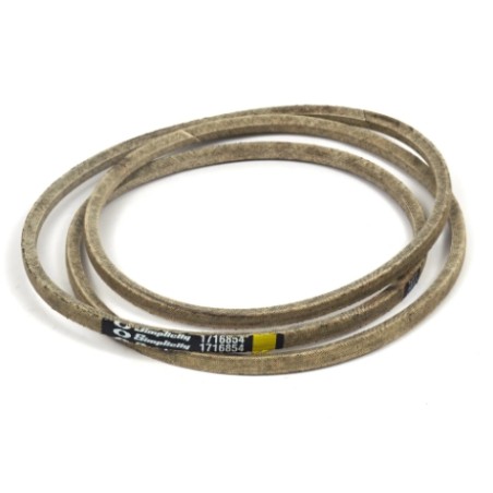 Cinghia motore piatto trattorino ORIGINALE BRIGGS & STRATTON 1716854SM | Newgardenstore.eu