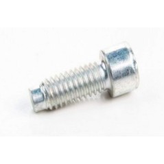 BRIGGS & STRATTON original lawn mower motor screw 690363