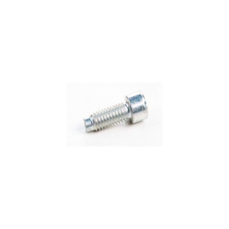 BRIGGS & STRATTON original lawn mower motor screw 690363